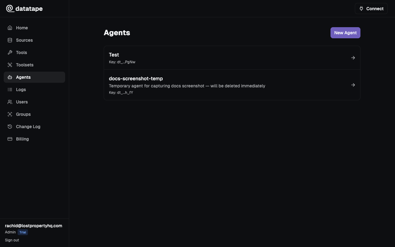 Agents list showing each agent's API key hint (e.g. dt_...PgNw)